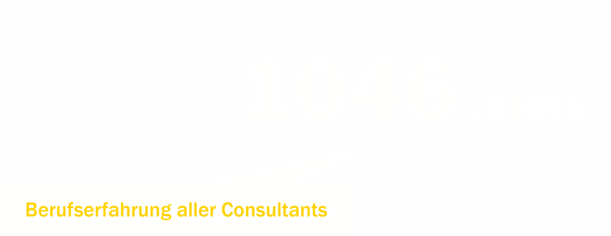 Beruserfahrung aller Consultants