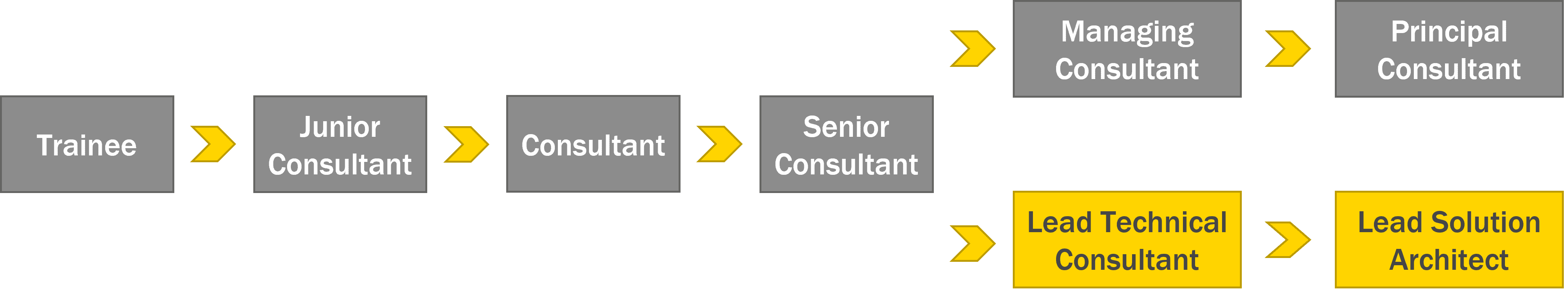 Stufen des Karrierepfades vom Trainee bis zum Principal Consultant bzw. Lead Solution Architect