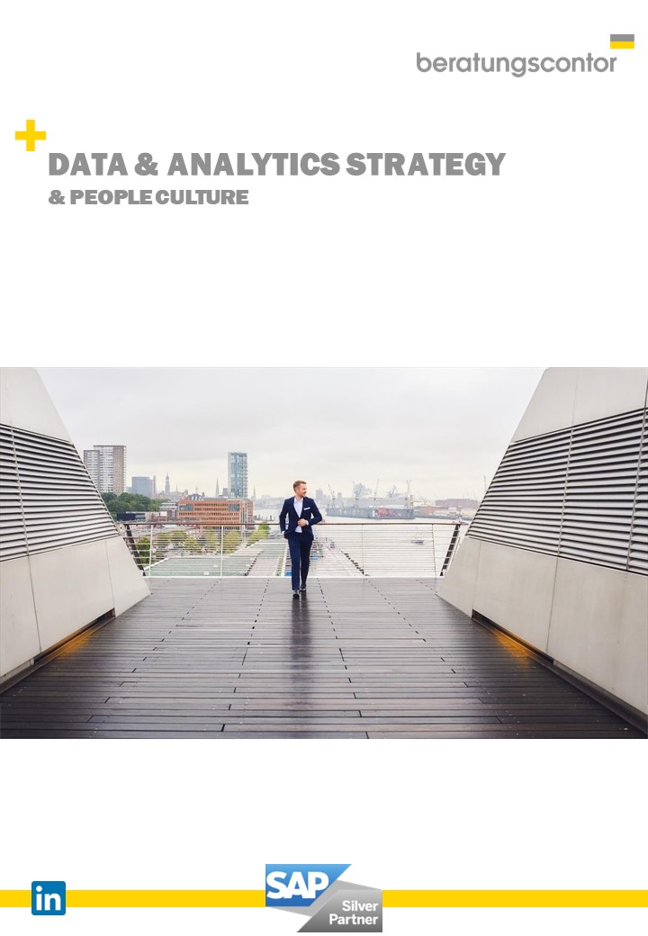 Whitepaper_Data & Analytics Strategy & People Culture: Titelbild